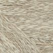 Zooey - 3 - White Pepper.jpg